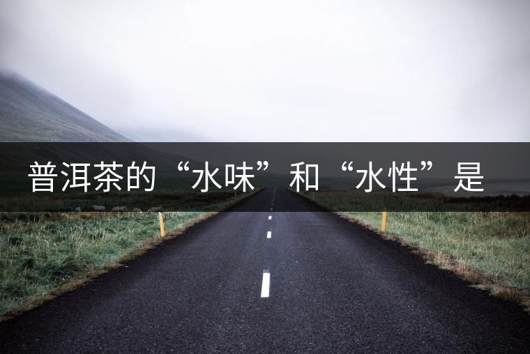 普洱茶的“水味”和“水性”是一種東西還是兩種東西？