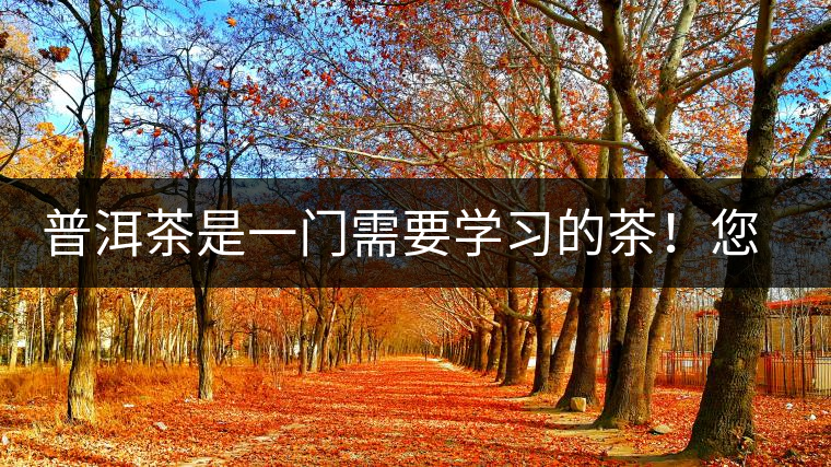 普洱茶是一門需要學(xué)習(xí)的茶！您學(xué)到了多少？看看專家怎么說
