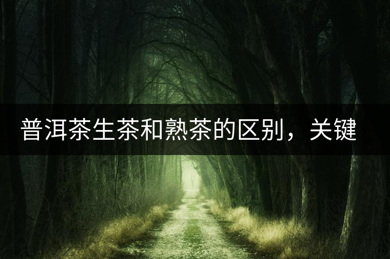 普洱茶生茶和熟茶的區(qū)別，關(guān)鍵在于前半生