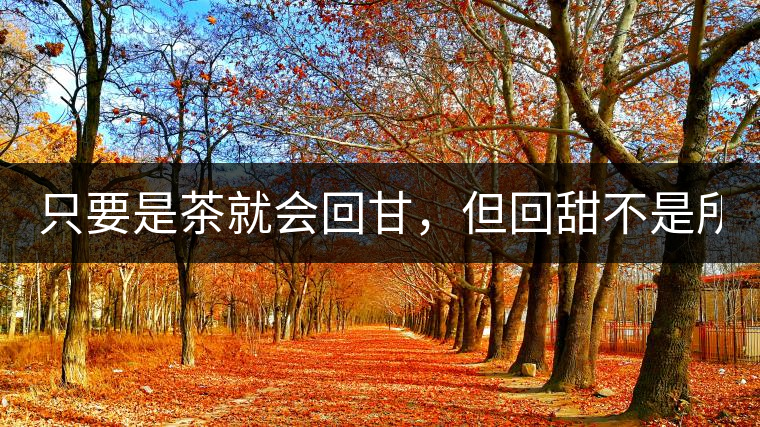 只要是茶就會(huì)回甘，但回甜不是所有茶都有！