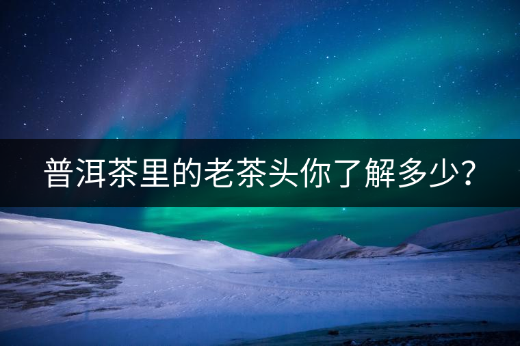 普洱茶里的老茶頭你了解多少？