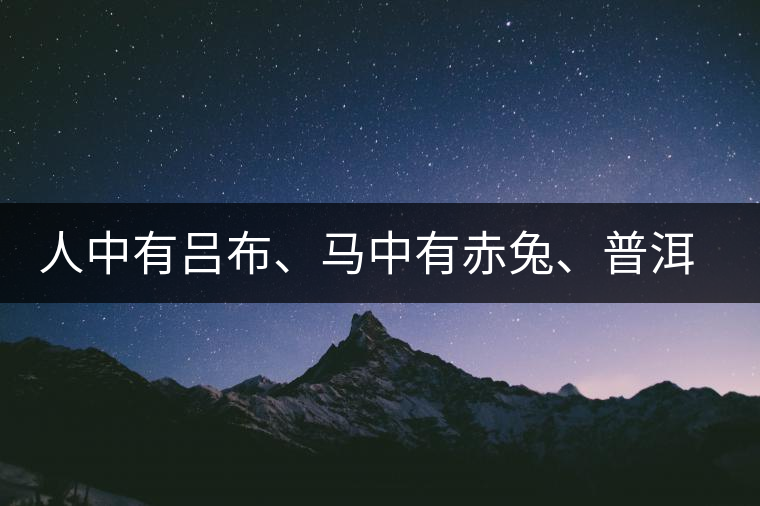 人中有呂布、馬中有赤兔、普洱中有茶化石：碎銀子！