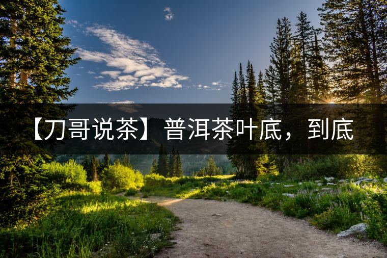 【刀哥說茶】普洱茶葉底，到底藏有多少玄機(jī)？