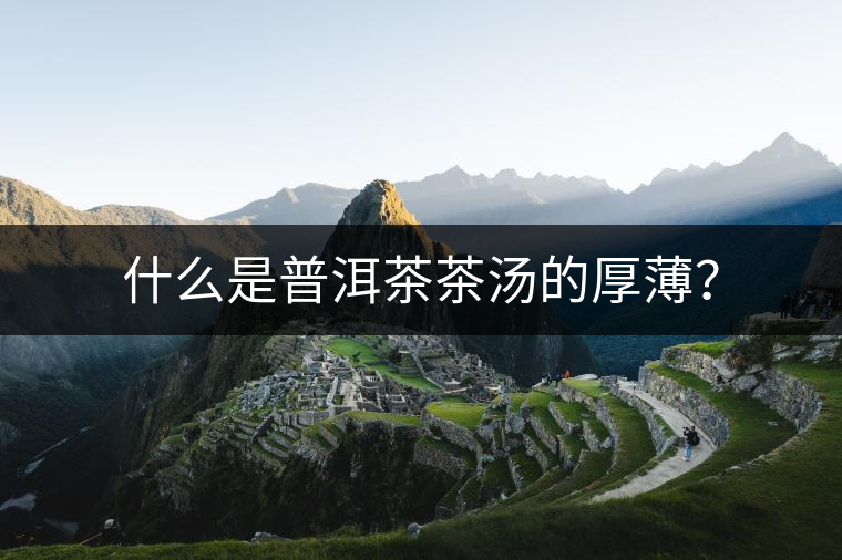 什么是普洱茶茶湯的厚薄？