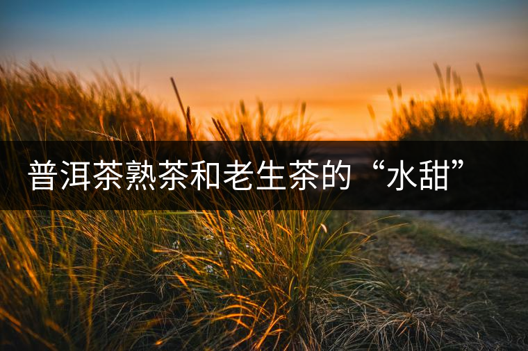 普洱茶熟茶和老生茶的“水甜”解析