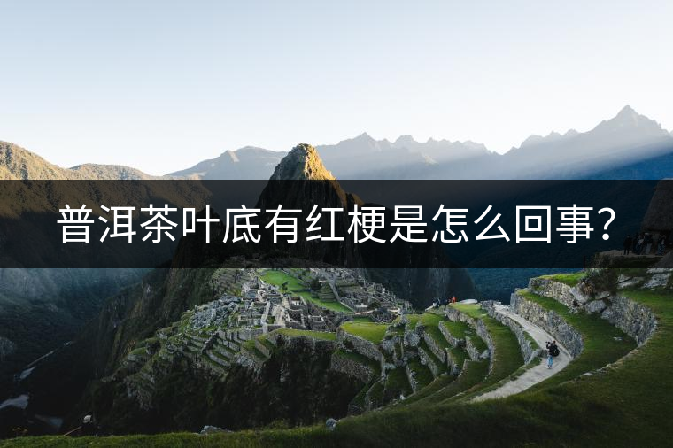 普洱茶葉底有紅梗是怎么回事？