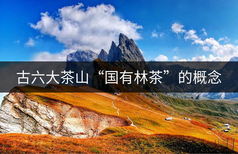 古六大茶山“國(guó)有林茶”的概念 古六大茶山“國(guó)有林茶”的概念