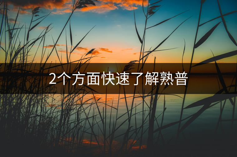 2個方面快速了解熟普