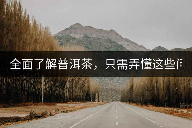 全面了解普洱茶，只需弄懂這些問題！