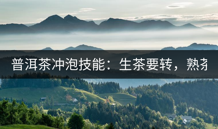 普洱茶沖泡技能：生茶要轉(zhuǎn)，熟茶要柔！