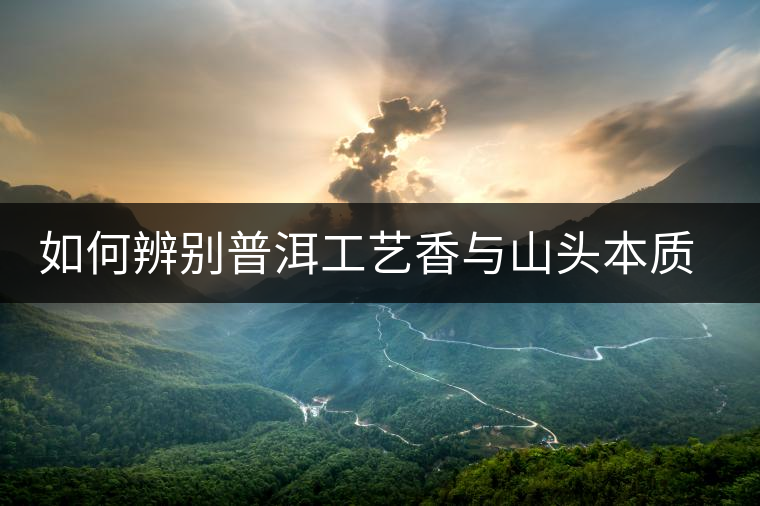 如何辨別普洱工藝香與山頭本質香