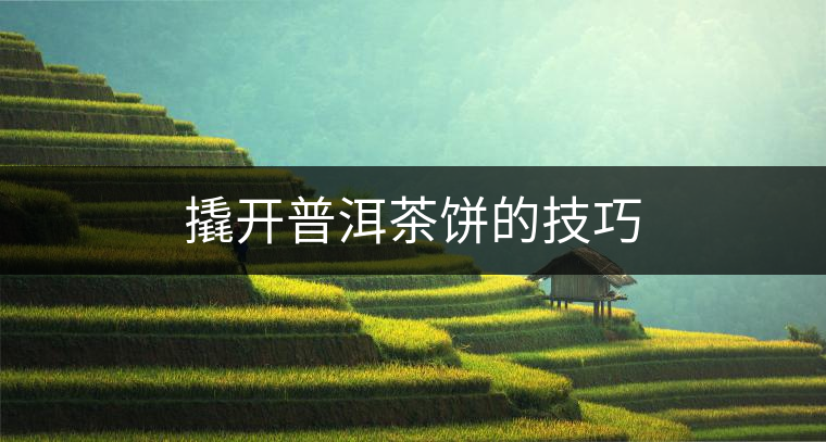 撬開(kāi)普洱茶餅的技巧 撬開(kāi)普洱茶餅的技巧