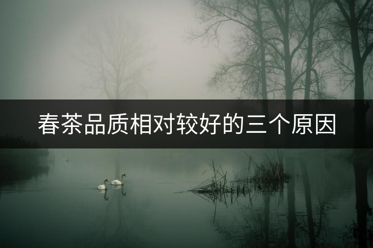 春茶品質(zhì)相對較好的三個原因