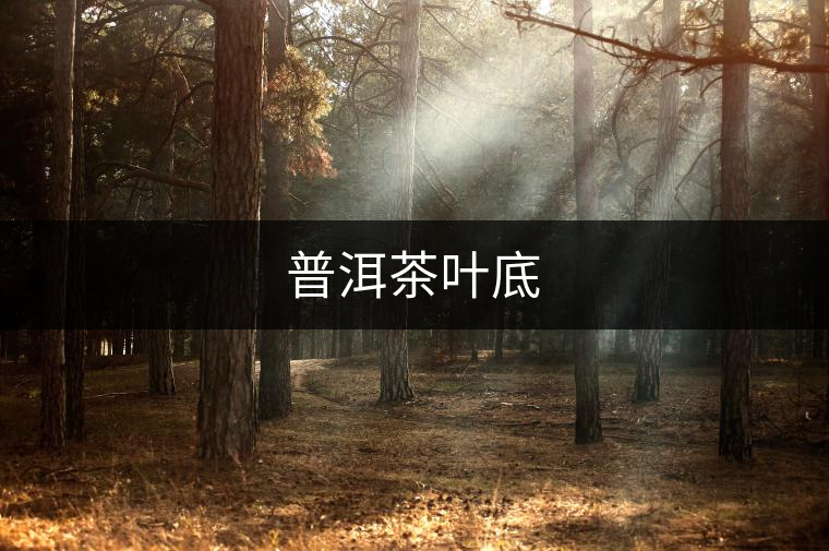 普洱茶葉底