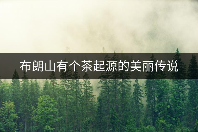 布朗山有個茶起源的美麗傳說 布朗山有個茶起源的美麗傳說
