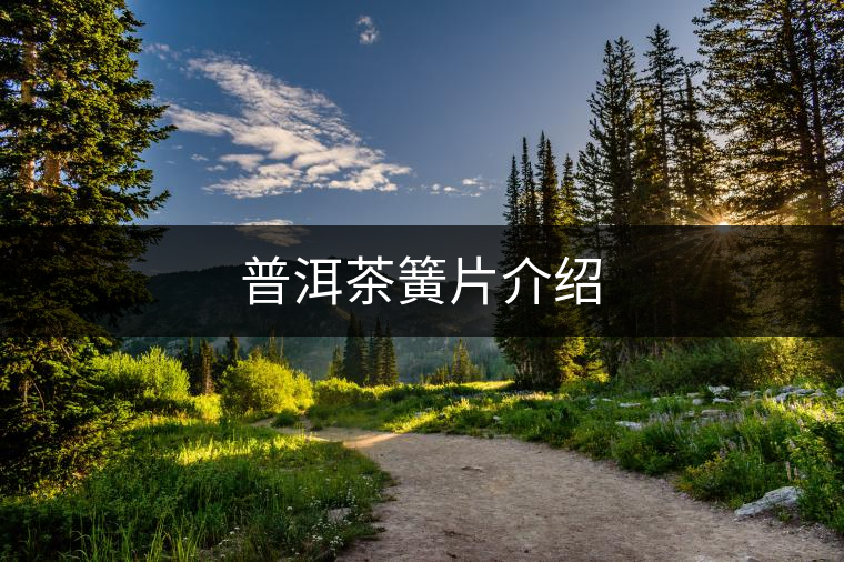 普洱茶簧片介紹