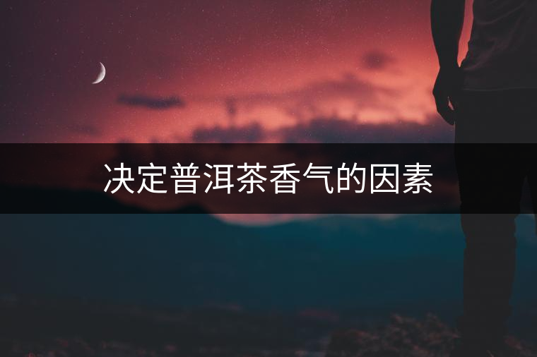 決定普洱茶香氣的因素