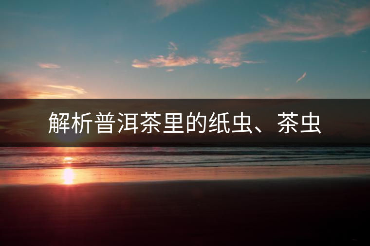 解析普洱茶里的紙蟲、茶蟲