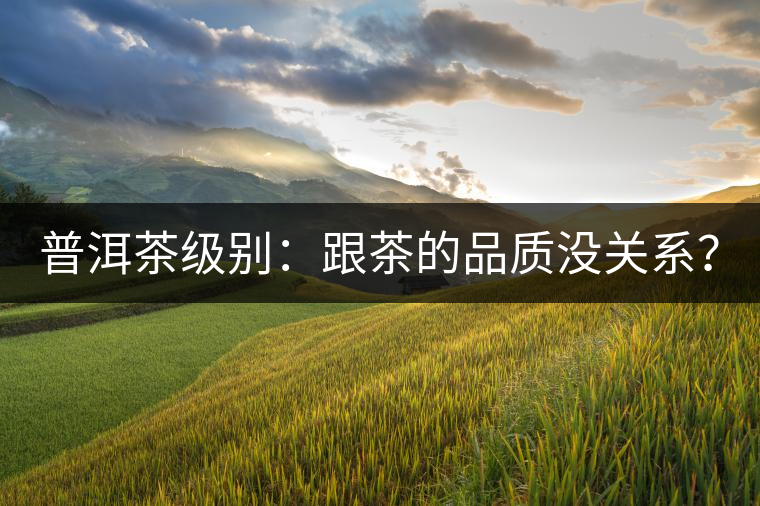 普洱茶級別：跟茶的品質(zhì)沒關(guān)系？