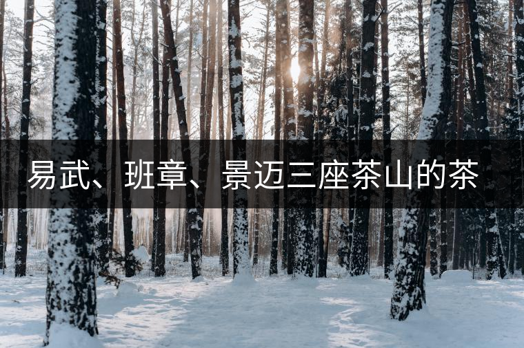易武、班章、景邁三座茶山的茶比較