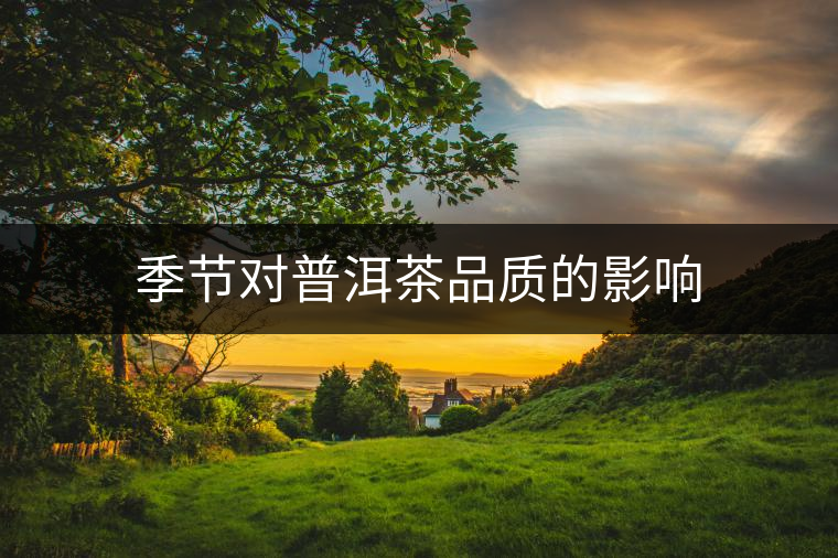 季節(jié)對普洱茶品質(zhì)的影響 季節(jié)對普洱茶品質(zhì)的影響