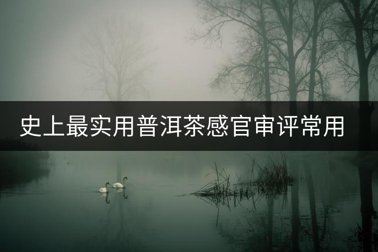 史上最實用普洱茶感官審評常用術(shù)語大全