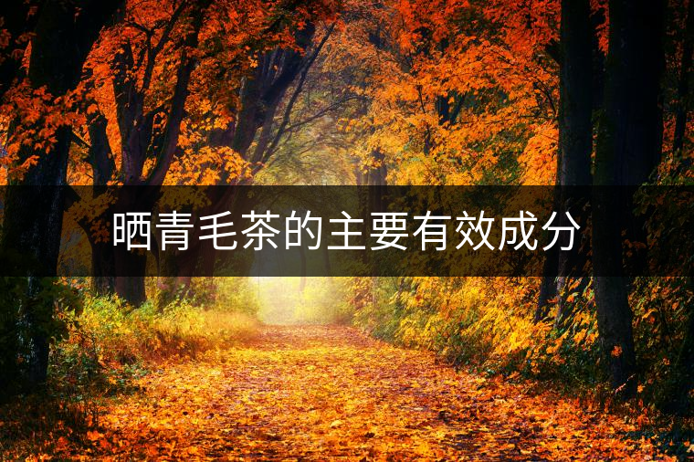 曬青毛茶的主要有效成分