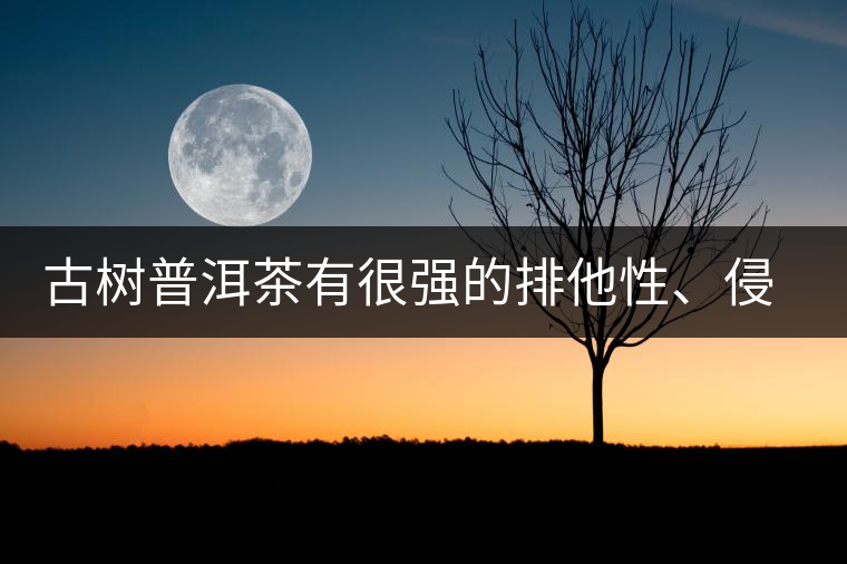 古樹普洱茶有很強的排他性、侵略性、吸納性