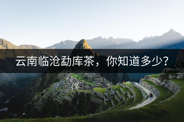 云南臨滄勐庫(kù)茶，你知道多少？