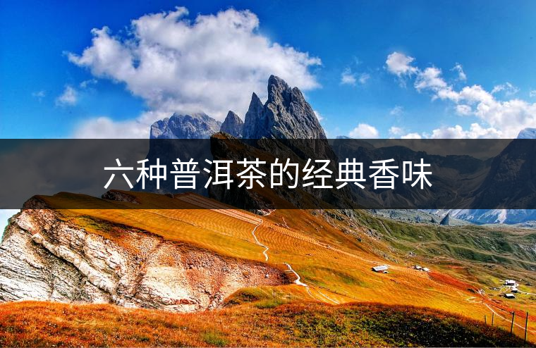 六種普洱茶的經典香味