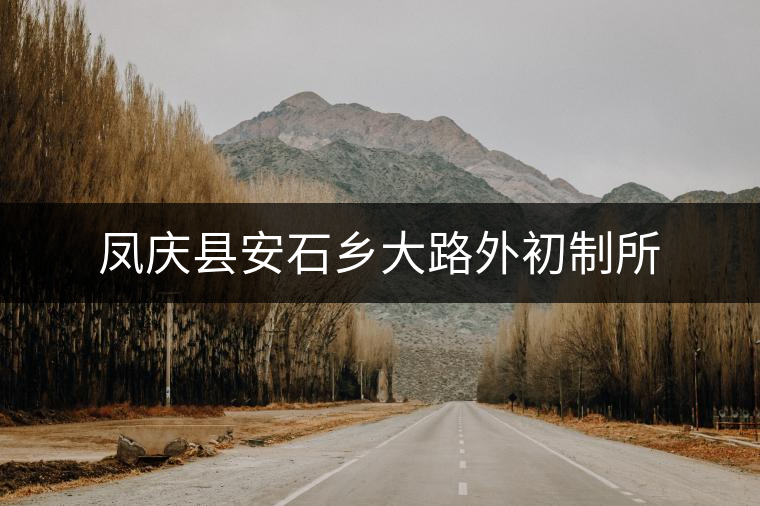 鳳慶縣安石鄉(xiāng)大路外初制所