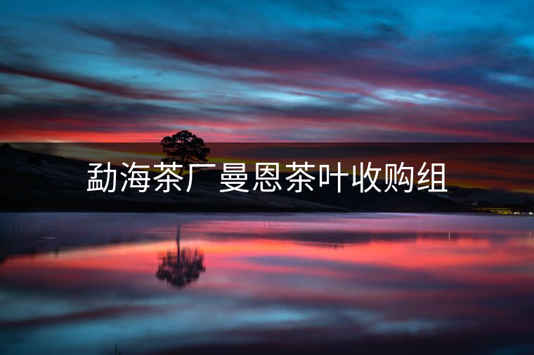 勐海茶廠曼恩茶葉收購組