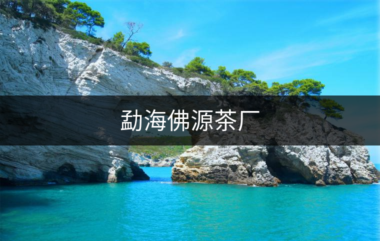 勐海佛源茶廠 勐海佛源茶廠