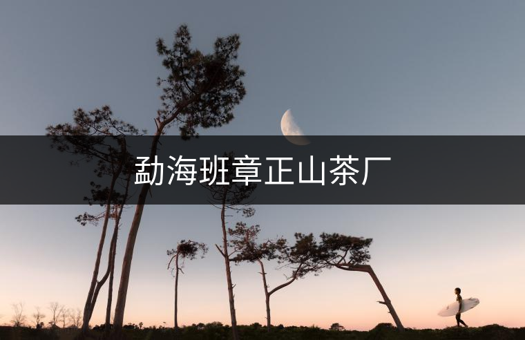 勐海班章正山茶廠