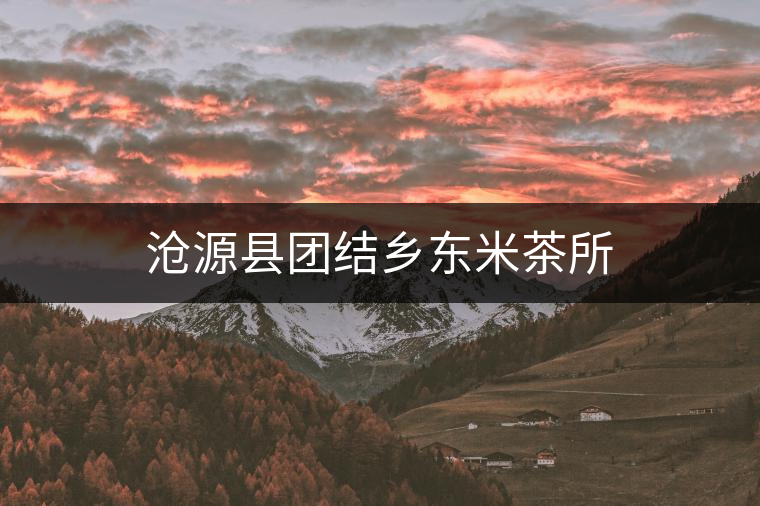滄源縣團結(jié)鄉(xiāng)東米茶所