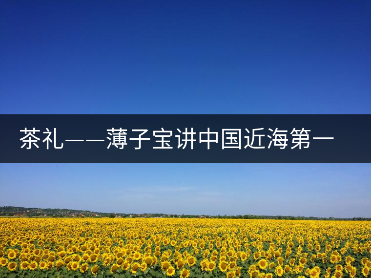 茶禮——薄子寶講中國近海第一茶茶經(jīng)
