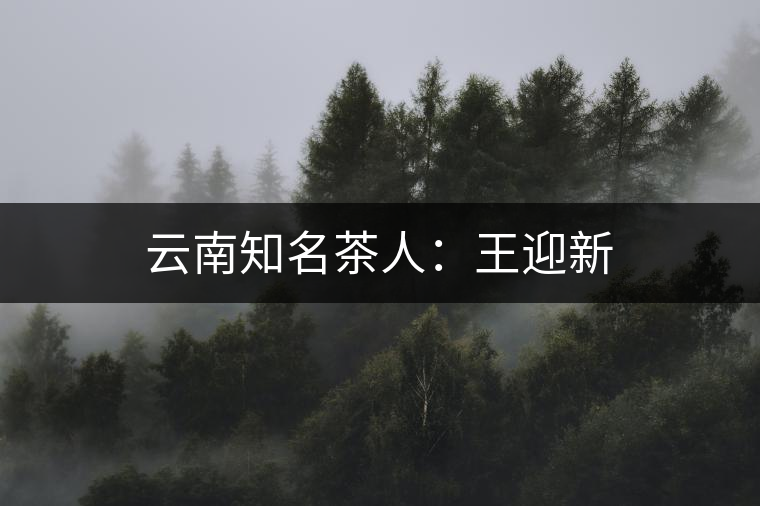 云南知名茶人：王迎新