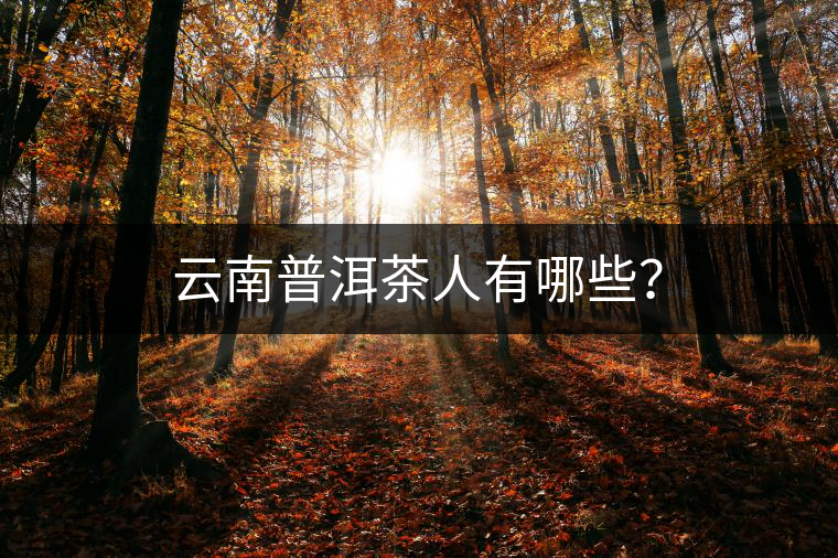云南普洱茶人有哪些？
