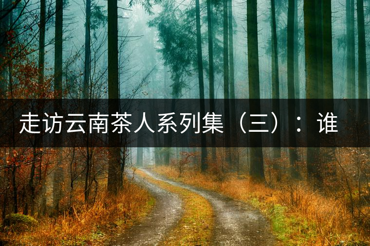 走訪云南茶人系列集（三）：誰說普洱不產(chǎn)茶？——張順高