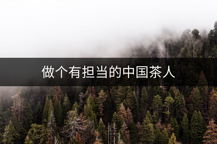 做個有擔(dān)當(dāng)?shù)闹袊枞? alt=