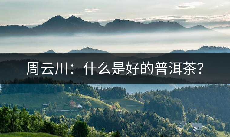 周云川：什么是好的普洱茶？