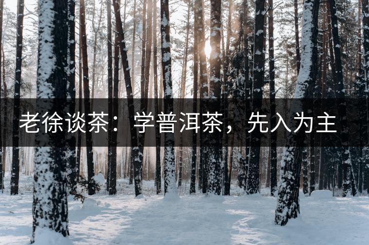 老徐談茶：學(xué)普洱茶，先入為主易被打臉，還得實(shí)踐出真知！