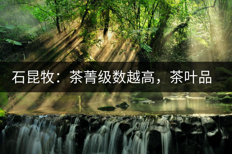 石昆牧：茶菁級(jí)數(shù)越高，茶葉品質(zhì)就越好？