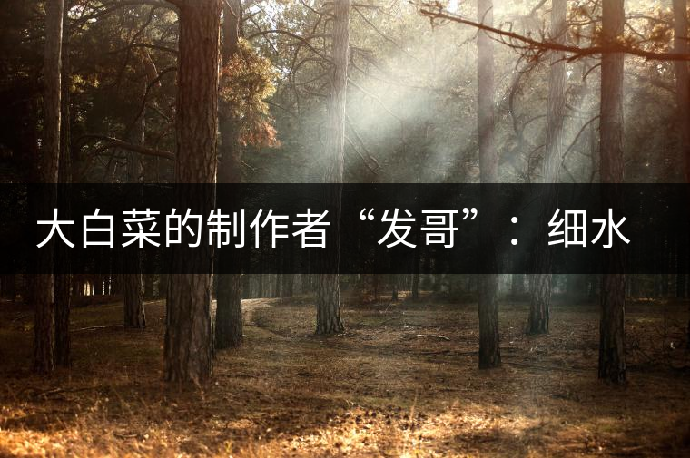 大白菜的制作者“發(fā)哥”：細(xì)水長(zhǎng)流，做茶“急不得”
