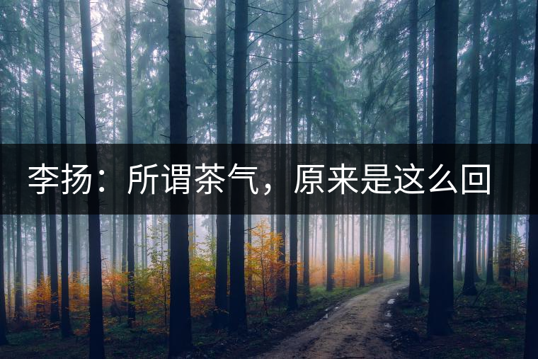 李揚(yáng)：所謂茶氣，原來是這么回事