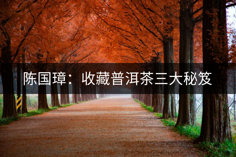 陳國璋：收藏普洱茶三大秘笈