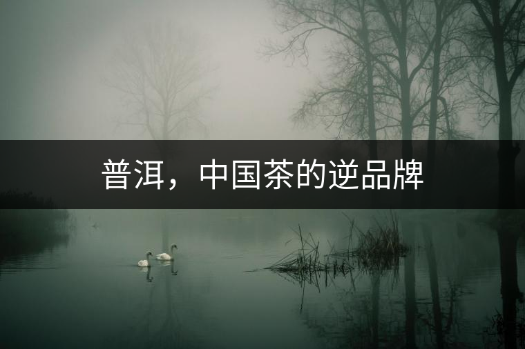 普洱，中國(guó)茶的逆品牌