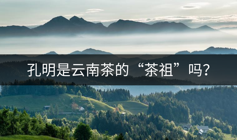 孔明是云南茶的“茶祖”嗎？