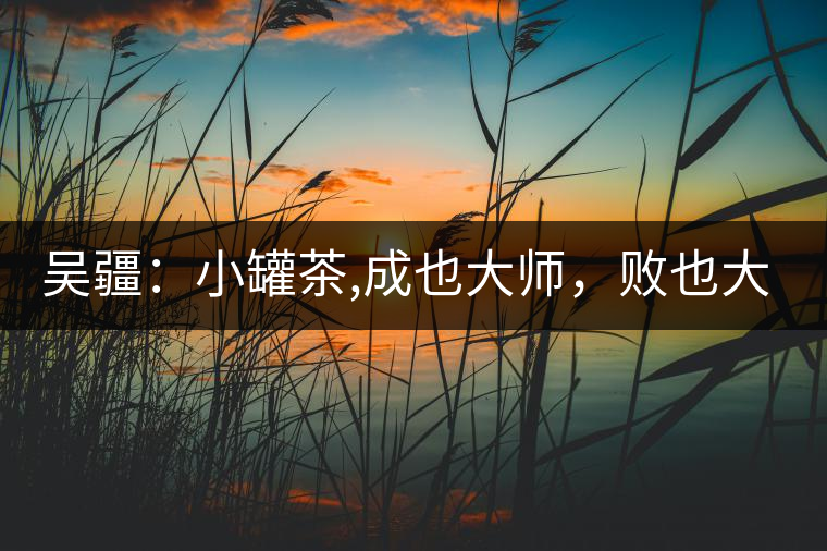 吳疆：小罐茶,成也大師，敗也大師