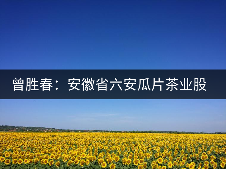 曾勝春：安徽省六安瓜片茶業(yè)股份有限公司董事長(zhǎng)